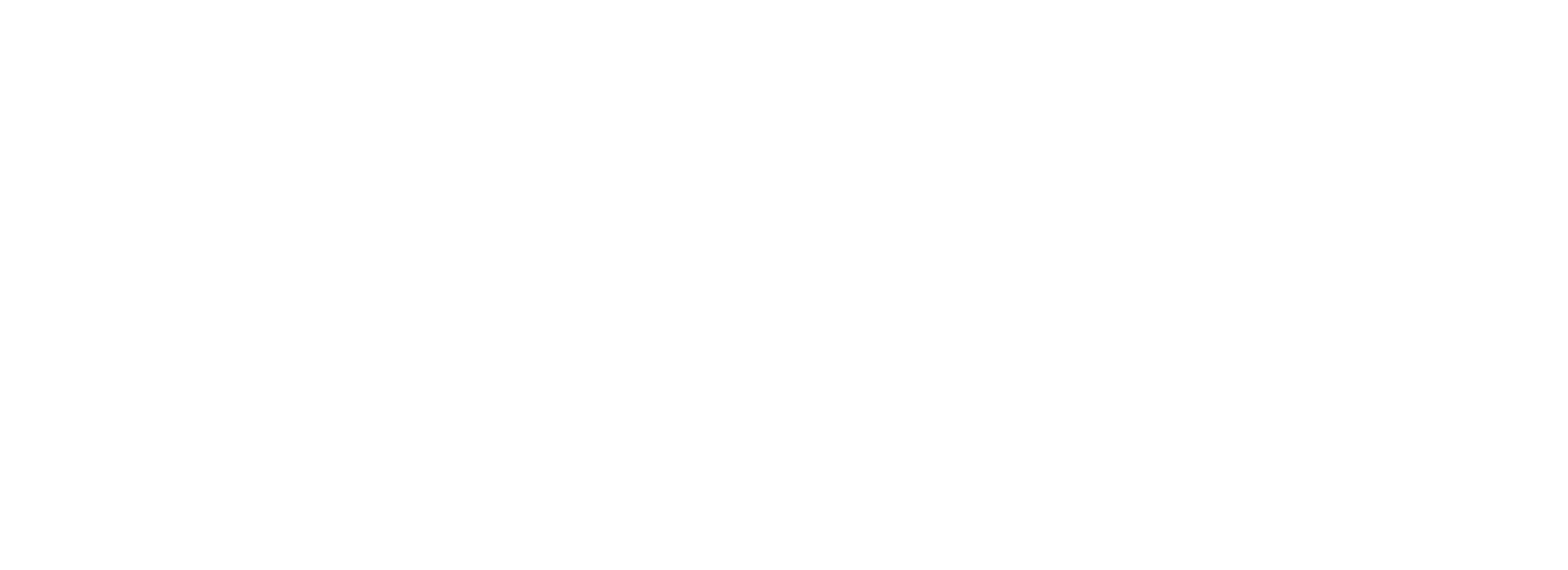 Flexo white logo